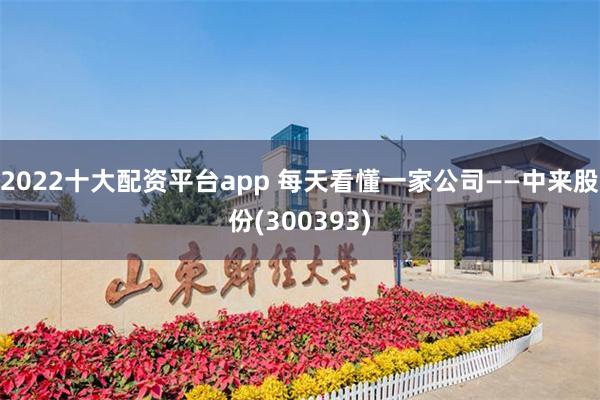 2022十大配资平台app 每天看懂一家公司——中来股份(300393)