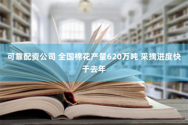 可靠配资公司 全国棉花产量620万吨 采摘进度快于去年