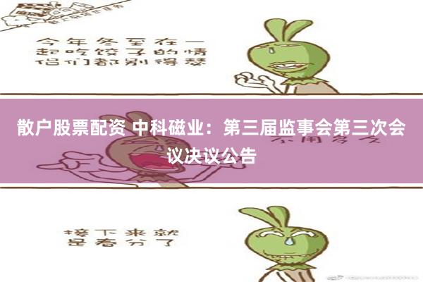 散户股票配资 中科磁业：第三届监事会第三次会议决议公告